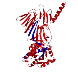 Image of CATH 4mmr