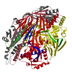Image of CATH 4mms