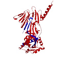 Image of CATH 4mmt