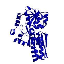 Image of CATH 4mnp