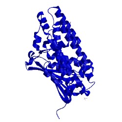 Image of CATH 4mp2