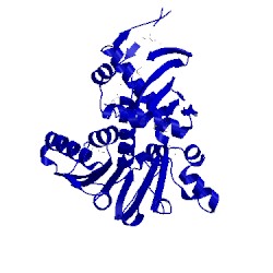Image of CATH 4mp3