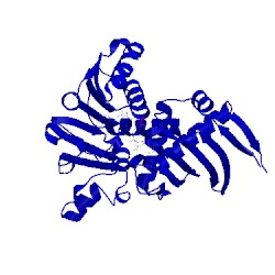 Image of CATH 4mp8