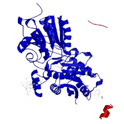 Image of CATH 4mr8