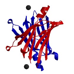 Image of CATH 4mrc