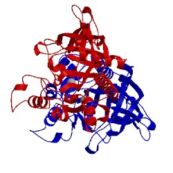 Image of CATH 4mri