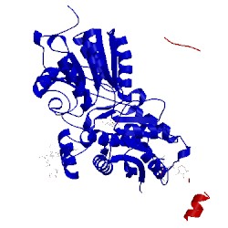 Image of CATH 4ms1