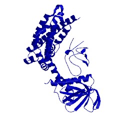 Image of CATH 4mt6