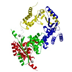 Image of CATH 4mtd