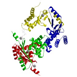 Image of CATH 4mte