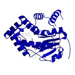 Image of CATH 4mub