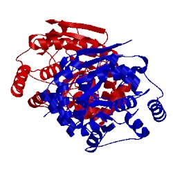 Image of CATH 4muo