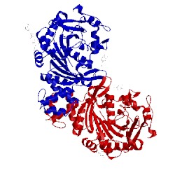 Image of CATH 4mwt