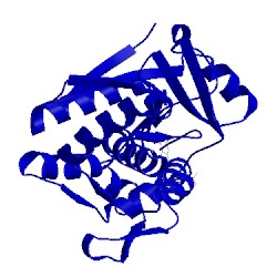 Image of CATH 4mx5