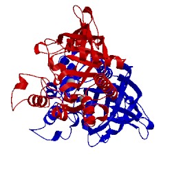 Image of CATH 4mxu