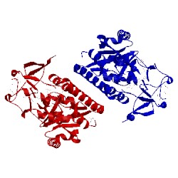 Image of CATH 4n01