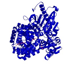 Image of CATH 4n3b