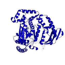 Image of CATH 4n56