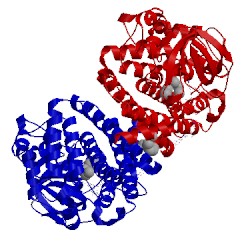 Image of CATH 4n5f
