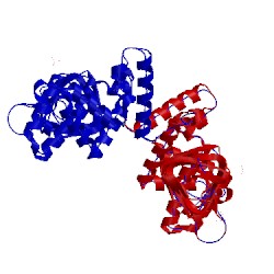 Image of CATH 4n69