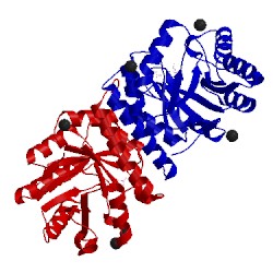 Image of CATH 4n6f