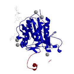Image of CATH 4n6n