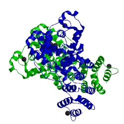 Image of CATH 4n88
