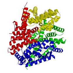 Image of CATH 4n8r