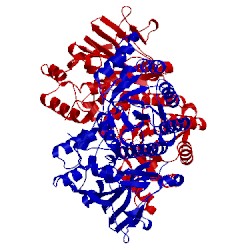 Image of CATH 4n9c