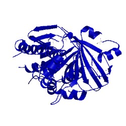 Image of CATH 4n9x