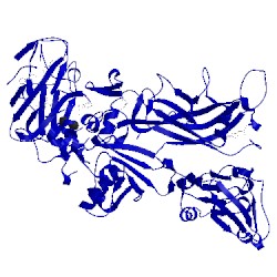 Image of CATH 4nam