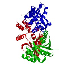 Image of CATH 4nat