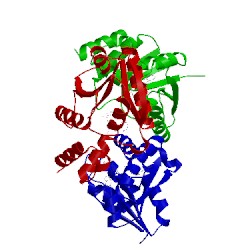 Image of CATH 4nau