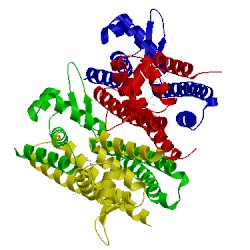 Image of CATH 4nb5