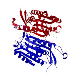 Image of CATH 4nbk