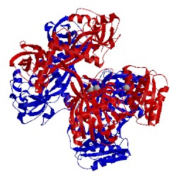Image of CATH 4nca