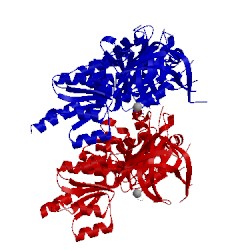 Image of CATH 4ncl