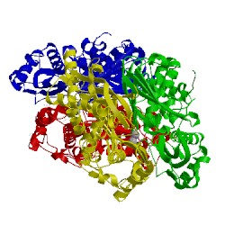 Image of CATH 4ndn