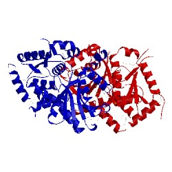 Image of CATH 4neg