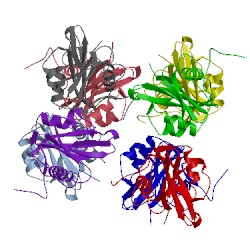 Image of CATH 4nfx