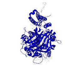 Image of CATH 4ngn