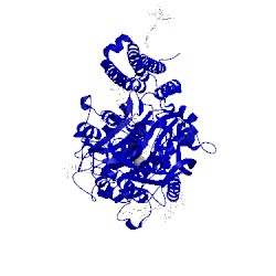 Image of CATH 4ngp
