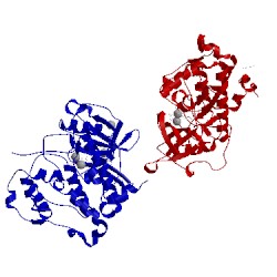 Image of CATH 4nh1