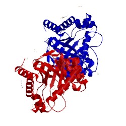 Image of CATH 4nhv