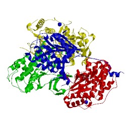 Image of CATH 4nif