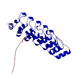 Image of CATH 4nik