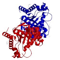 Image of CATH 4nir