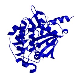 Image of CATH 4njd