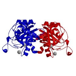 Image of CATH 4njj