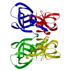 Image of CATH 4njv